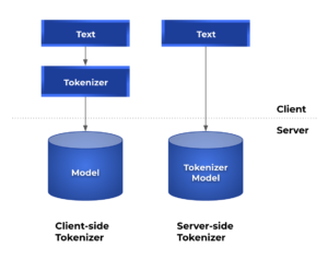 Client-side vs Server-side tokenizer