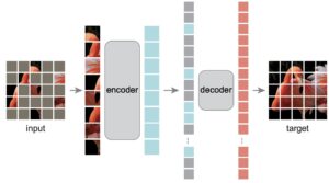 MAE architecture for sapiens